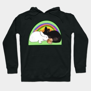 Cute bunny rabbit family, mama, papa and baby, albino, black and ginger bunnies with a rainbow tie die background Hoodie